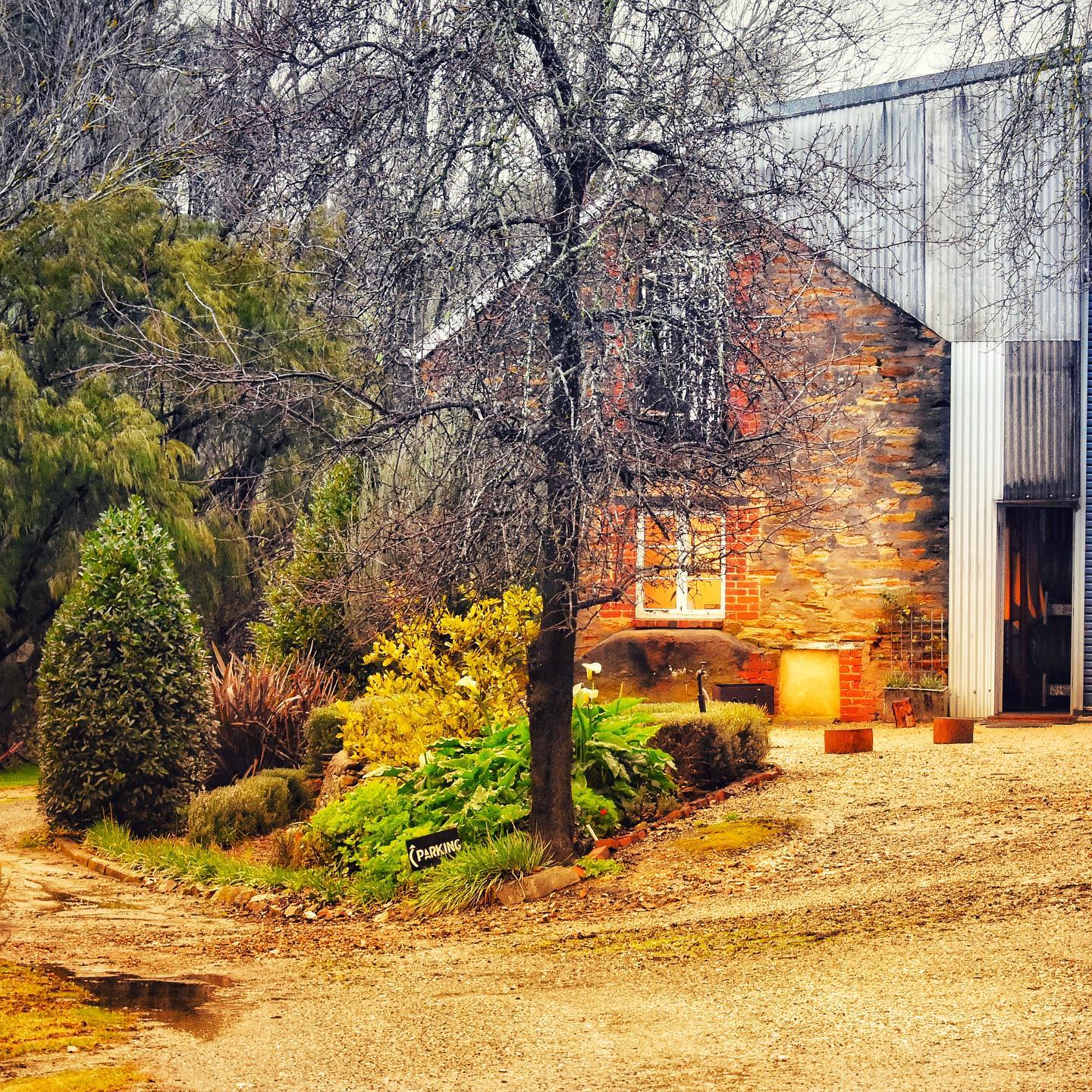 Ten Miles East Winery